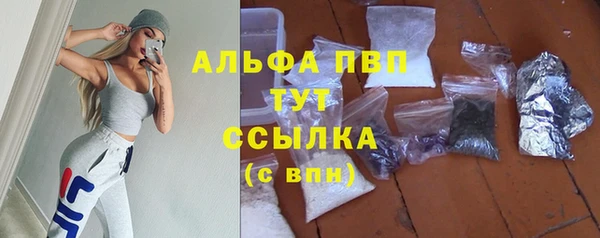 прущие крисы Баксан